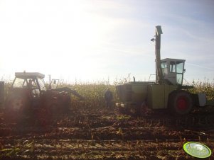 Zetor 7745 & Claas Jaguar 80sf 4x4