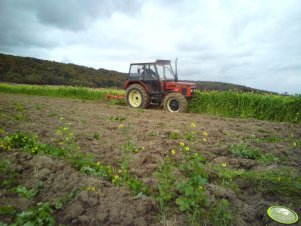 Zetor 7745 + Fermstal 4*35