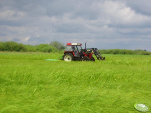 Zetor 7745 i SaMASZ Z 010/1