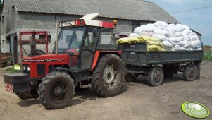 Zetor 7745 & przyczepa 3,5t