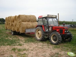 Zetor 7745 Turbo + przyczepa