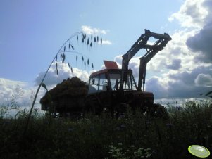 Zetor 7745 Turbo + Quicke i przyczepa 