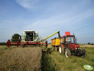 Zetor 7745 Turbo + Wielton & Claas Dominator 112 CS