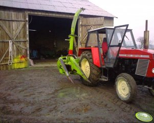 Zetor 8011 + Claas Jaguar 025