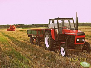 Zetor 8011 i Bizon Z056