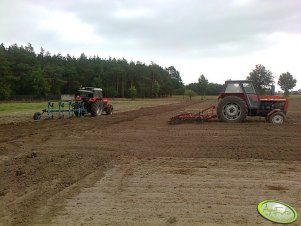 Zetor 8011  i Ursus 1614