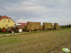 Zetor 8011 & Metal Fach & Platformy