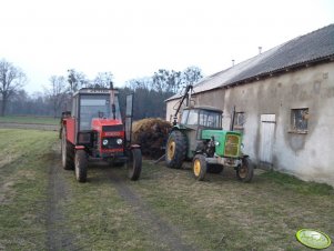 Zetor 8011 + rozrzutnik