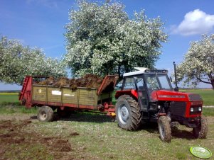 Zetor 8011  