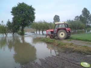 Zetor 8011