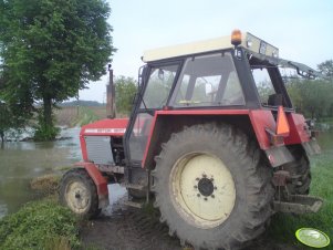 Zetor 8011