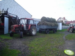 Zetor 8011