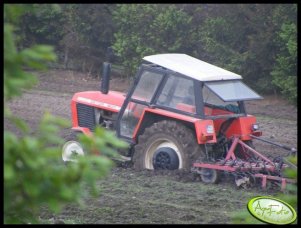 Zetor 8011