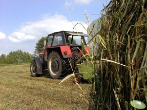 Zetor 8045