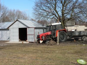 Zetor 8111