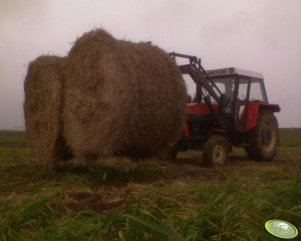 Zetor 8111