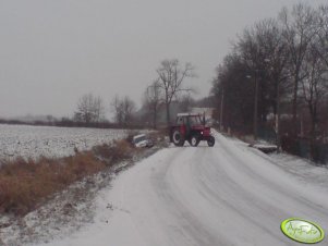 Zetor 8111