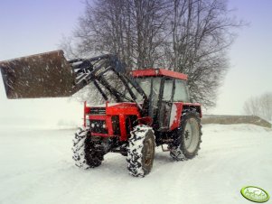Zetor 8145 + Bass