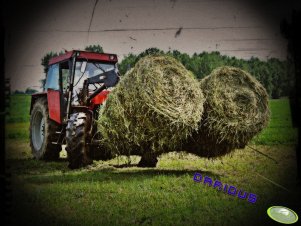 Zetor 8145 & Bass