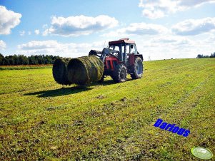 Zetor 8145 & Bass