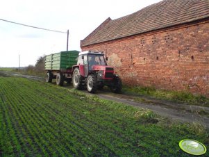 Zetor 8145 i T680 Pronaru