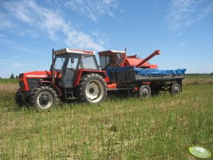 Zetor 8145 + przyczepa