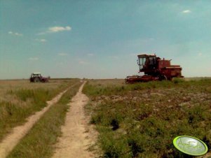 Zetor 8145 sąsiada mojego sąsiada ;)