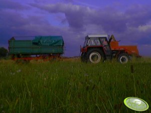 Zetor 8145 z przyczepą i Bizonek