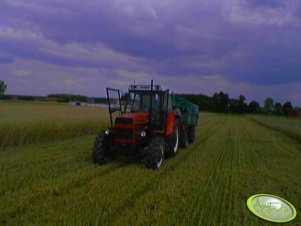 Zetor 8145 z przyczepą