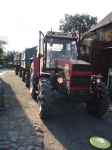 Zetor 8145 z przyczepami