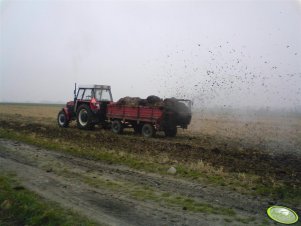 Zetor 8145 z rozrzutnikiem