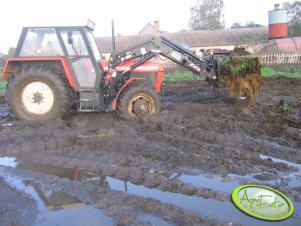 Zetor 8145