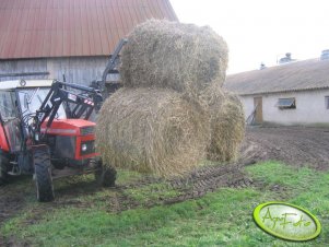 Zetor 8145