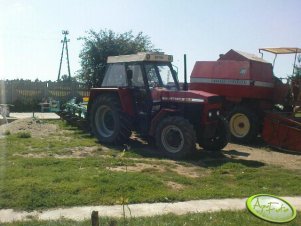 Zetor 8145