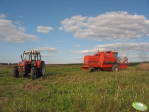 Zetor 8145