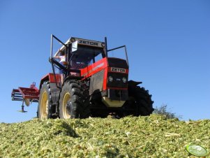 Zetor 8245 + agregat ścierniskowy 