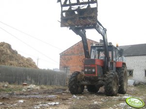 Zetor 8245