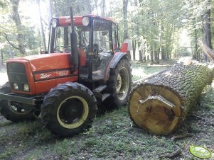 Zetor 9540 i Dąb