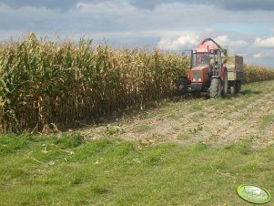 Zetor 9540 + Pottinger MEX IIS