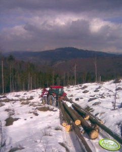 Zetor 9641 Forterra