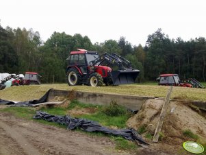 Zetor Classic x 3 