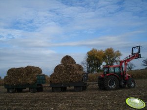 Zetor Forterra 105 + przyczepy ze słoma kukurydzianą.