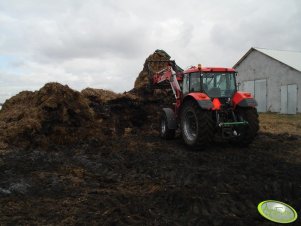 Zetor Forterra 105