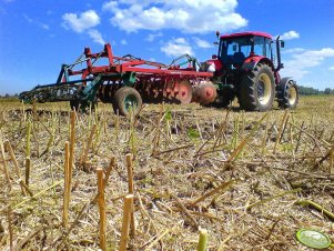 Zetor Forterra 11441 + brona talerzowa kvernelanda