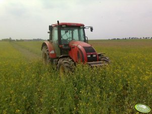 Zetor Forterra 11441 + Talerzówka