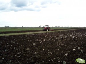 Zetor Forterra 11441 + Unia TUR