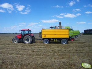 Zetor  Forterra 11441 + Wielton + Avero