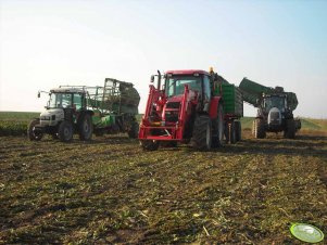 Zetor Forterra 11441