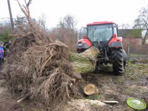 Zetor Forterra 11441