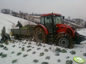 Zetor Forterra 11441